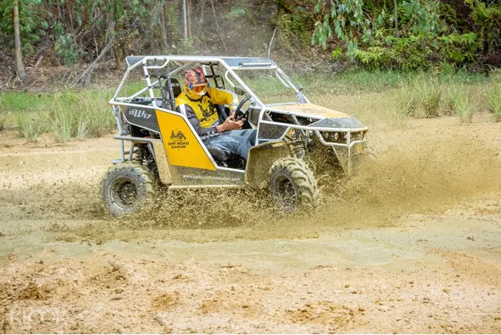 off road buggys